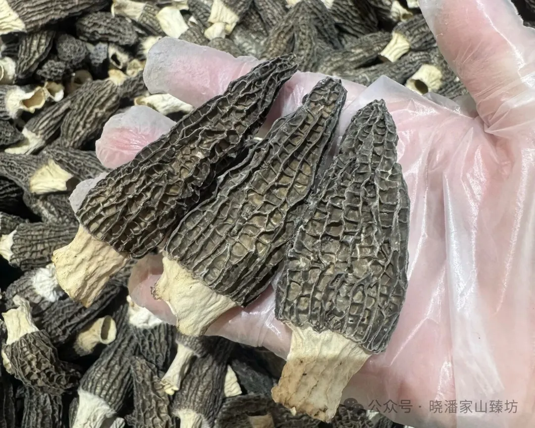 当餐山珍荟萃,甄选好礼!这一盒,装满了自然的元气与馈赠