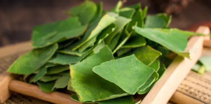 中药科普——荷叶