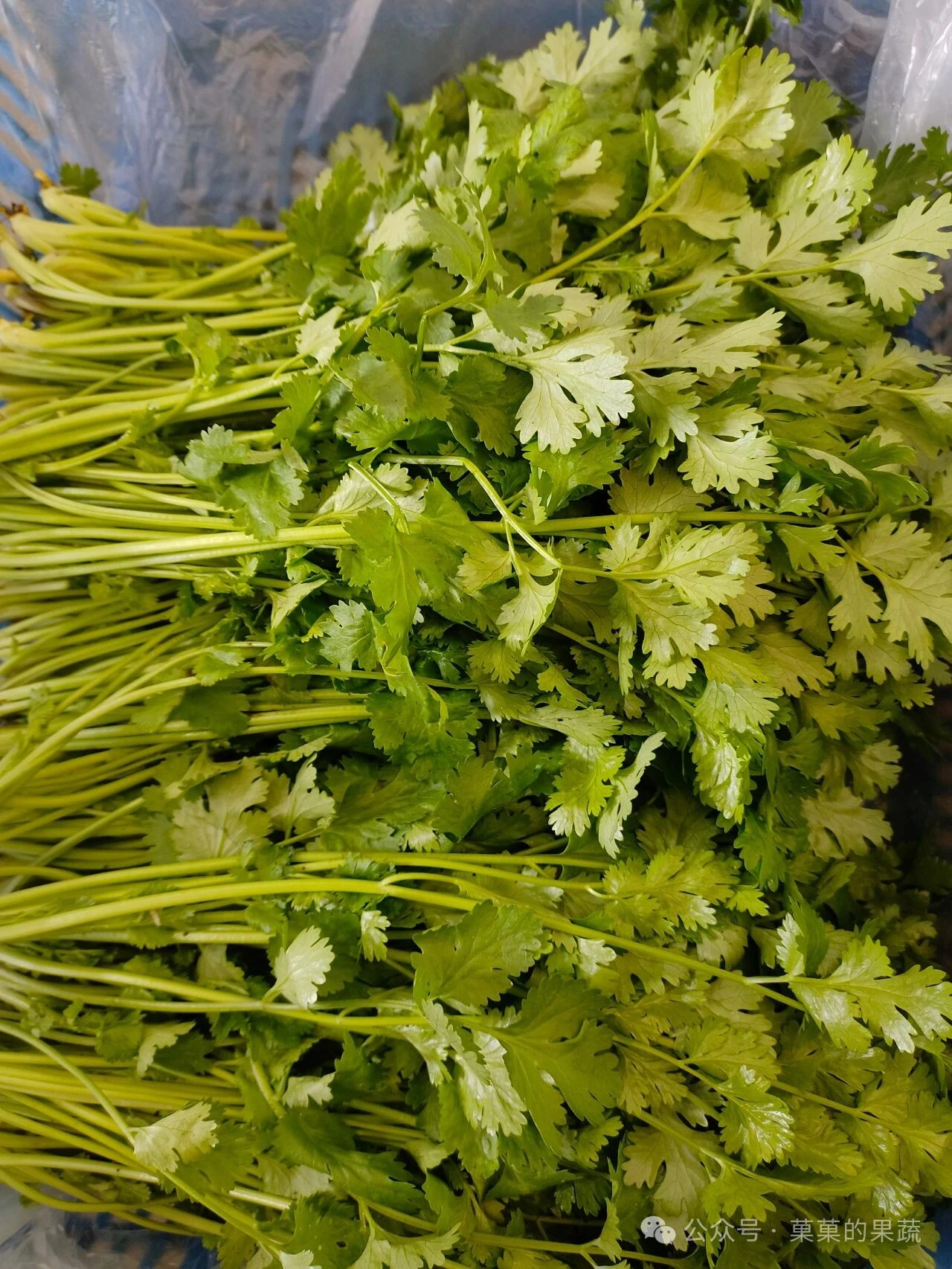 有机农场本周批发菜单