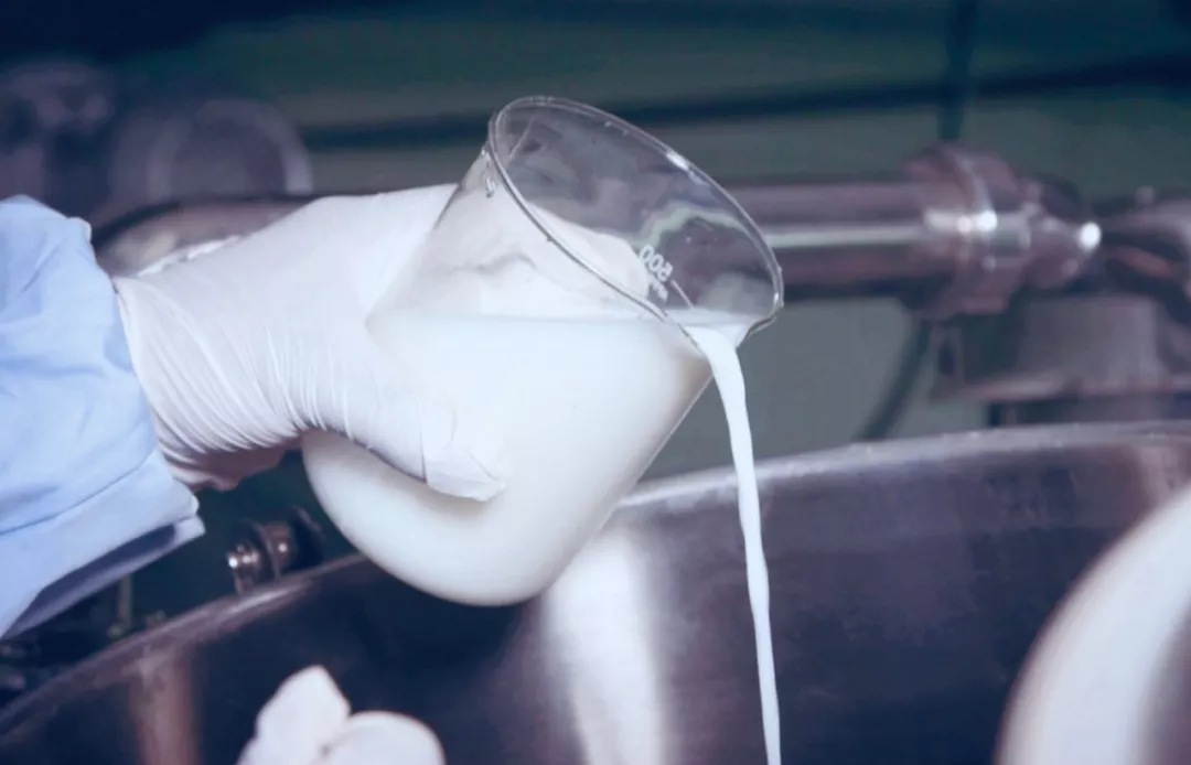 酸菜天花板!当餐优选味道正、有机、安全、健康!