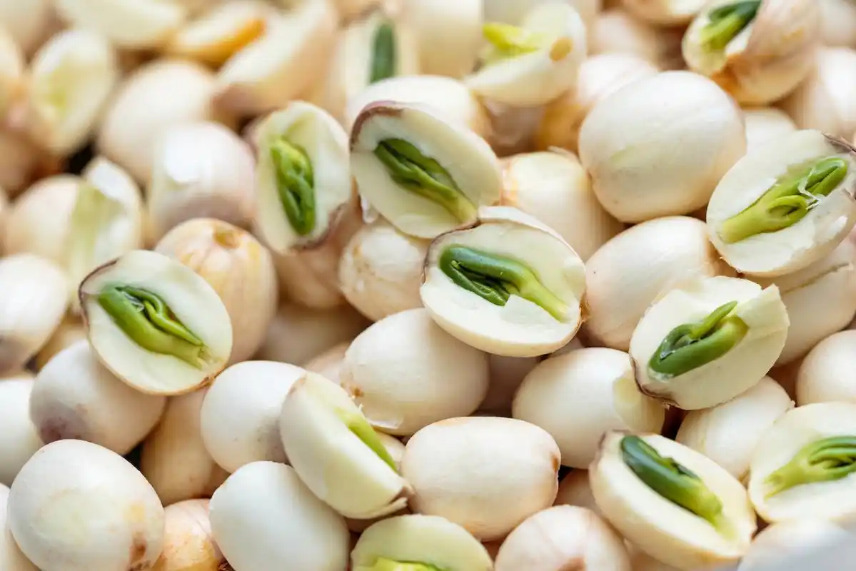 莲子的功效和作用