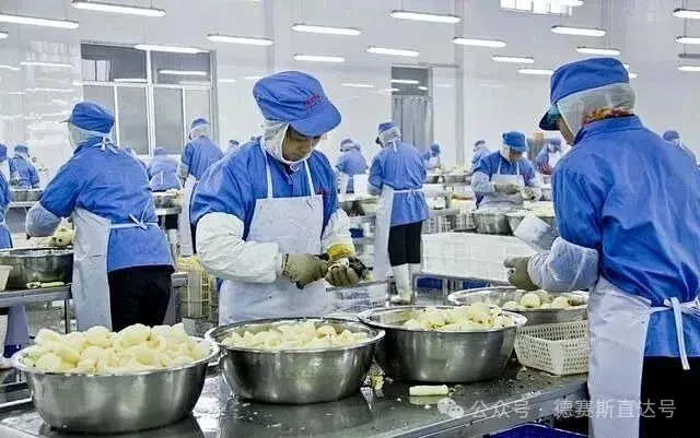 餐饮后厨效率低？全自动切菜机1机顶10人！