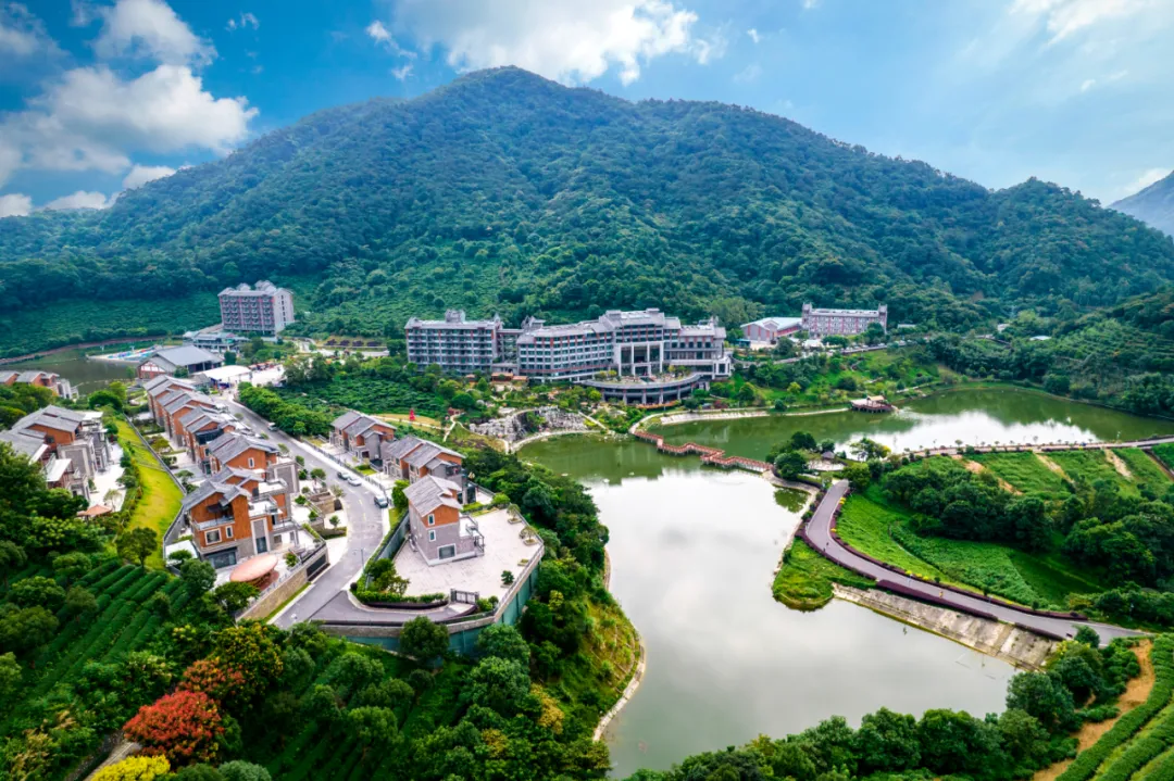 云浮特色美食打卡攻略!当餐宝藏“逛吃路线”来了