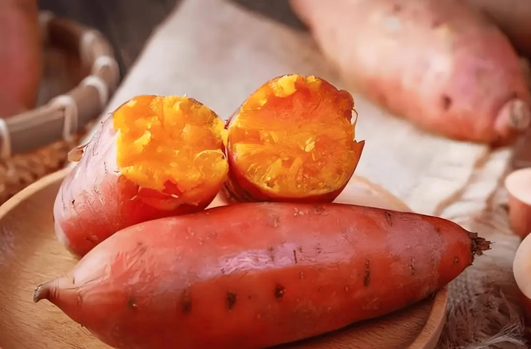 冬季护胃指南五种食材，给胃肠温柔呵护