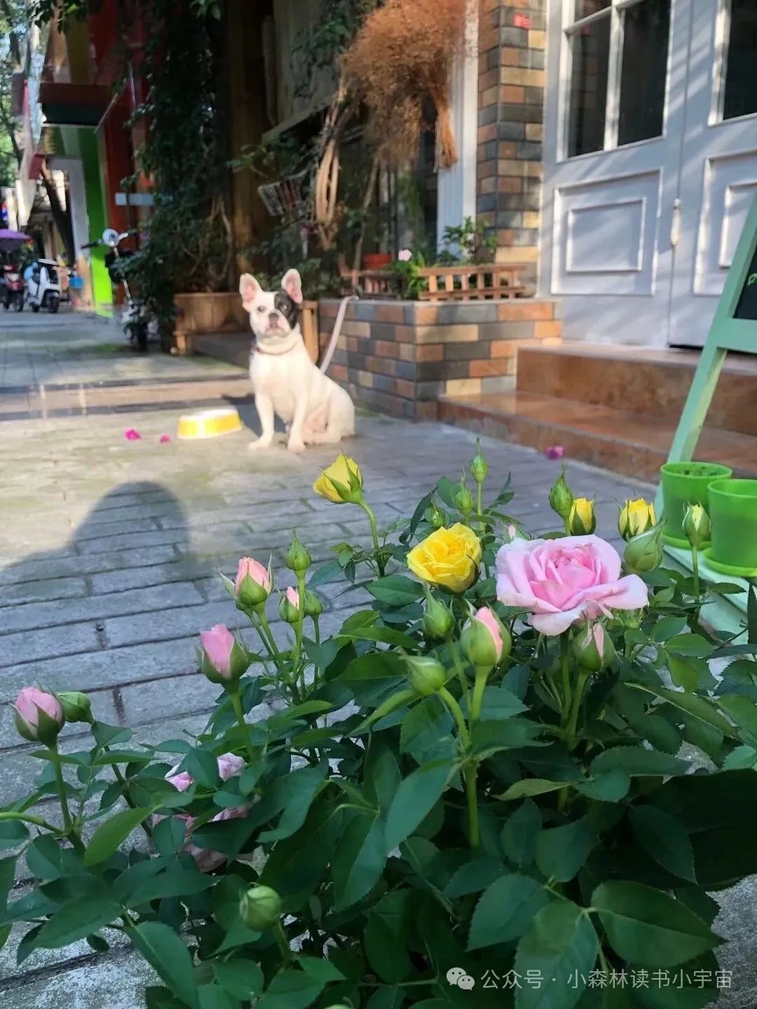 我的“餐饮”10年