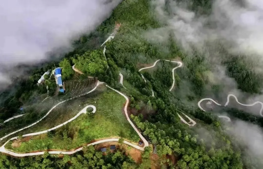 秦岭深处的有机食材之两当县“全域有机”发展的破局与前景