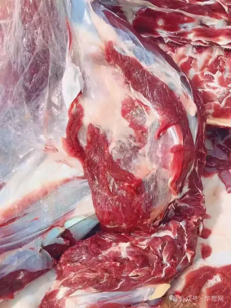 如何破解我国食材鹿产业发展的瓶颈问题