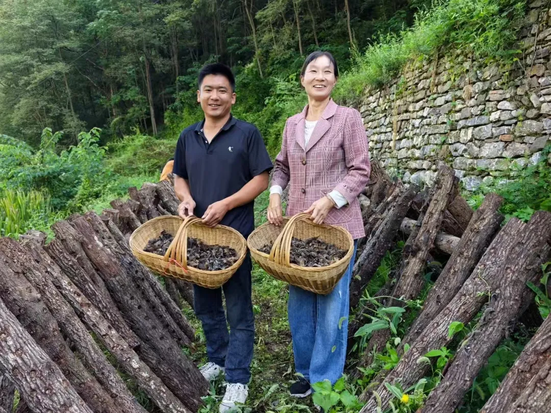 秦岭深处的有机食材之两当县“全域有机”发展的破局与前景
