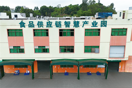 当餐优选，生鲜直达！餐饮供应链，重塑净菜新鲜标准