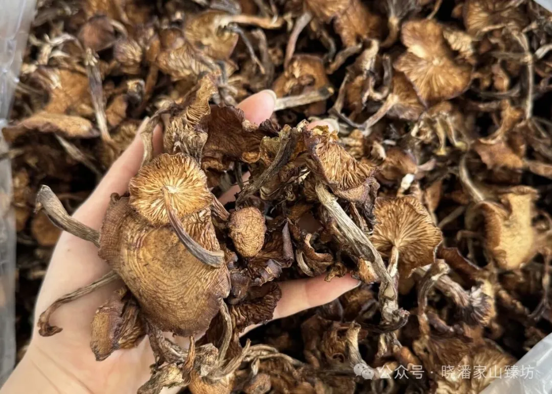 当餐山珍荟萃,甄选好礼!这一盒,装满了自然的元气与馈赠