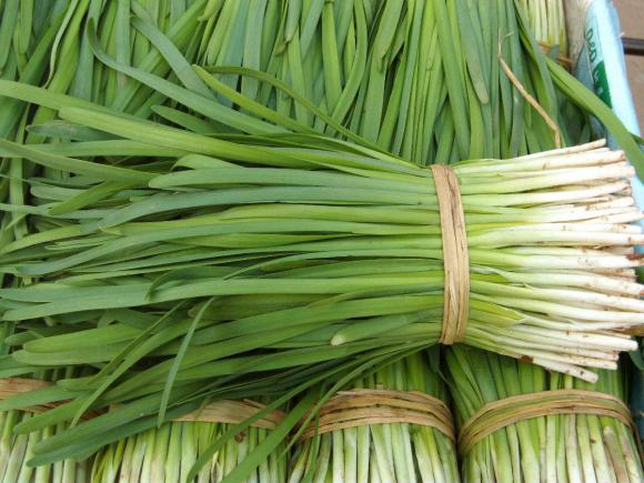 韭菜既是家常食材，也是兼具养生价值的蔬菜