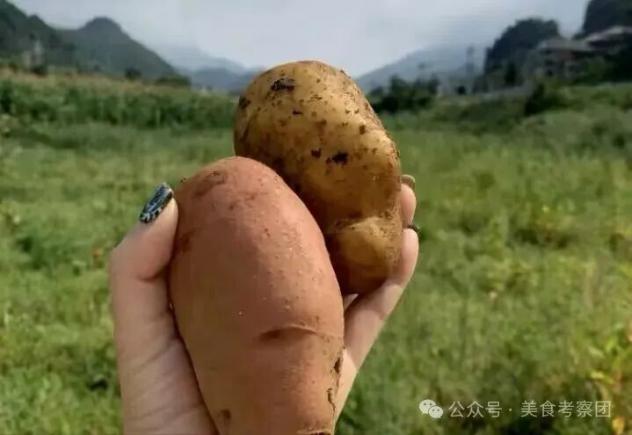 贵州毕节最具特色的9道特色美食,都是当地人的心头爱