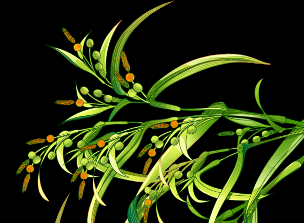 当餐优选新品上市!天麻薏仁系列,开启自然滋养新食尚