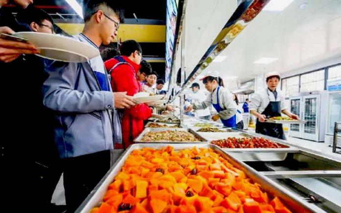 餐饮公司承包高校食堂，是否能够享受增值税免税政策？