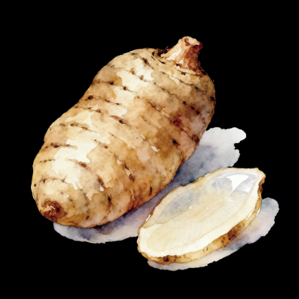 当餐优选新品上市！天麻薏仁系列，开启自然滋养新食尚