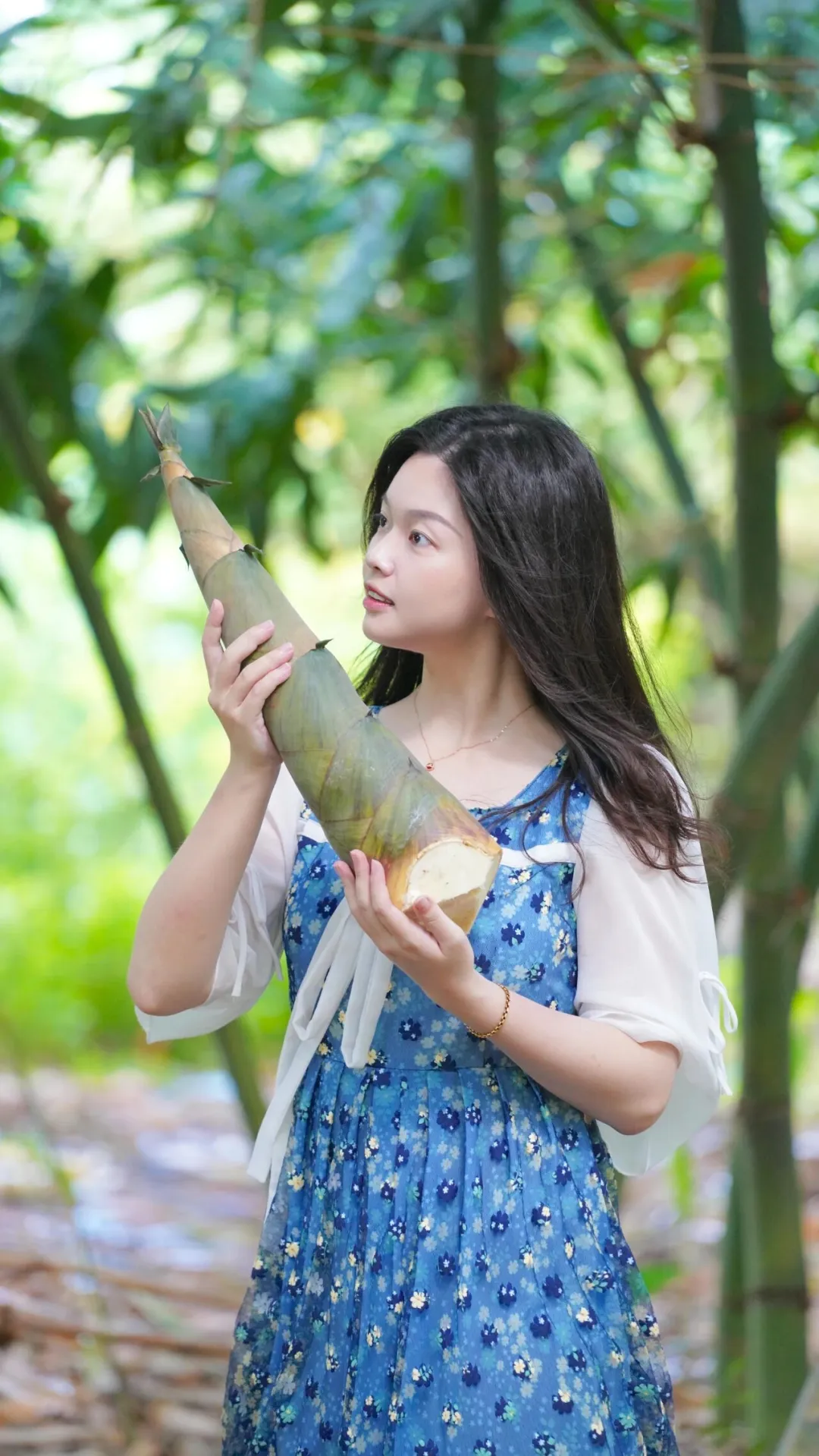 国家级美食，湛江增两席！当餐优选“山珍海味”食材组团出道