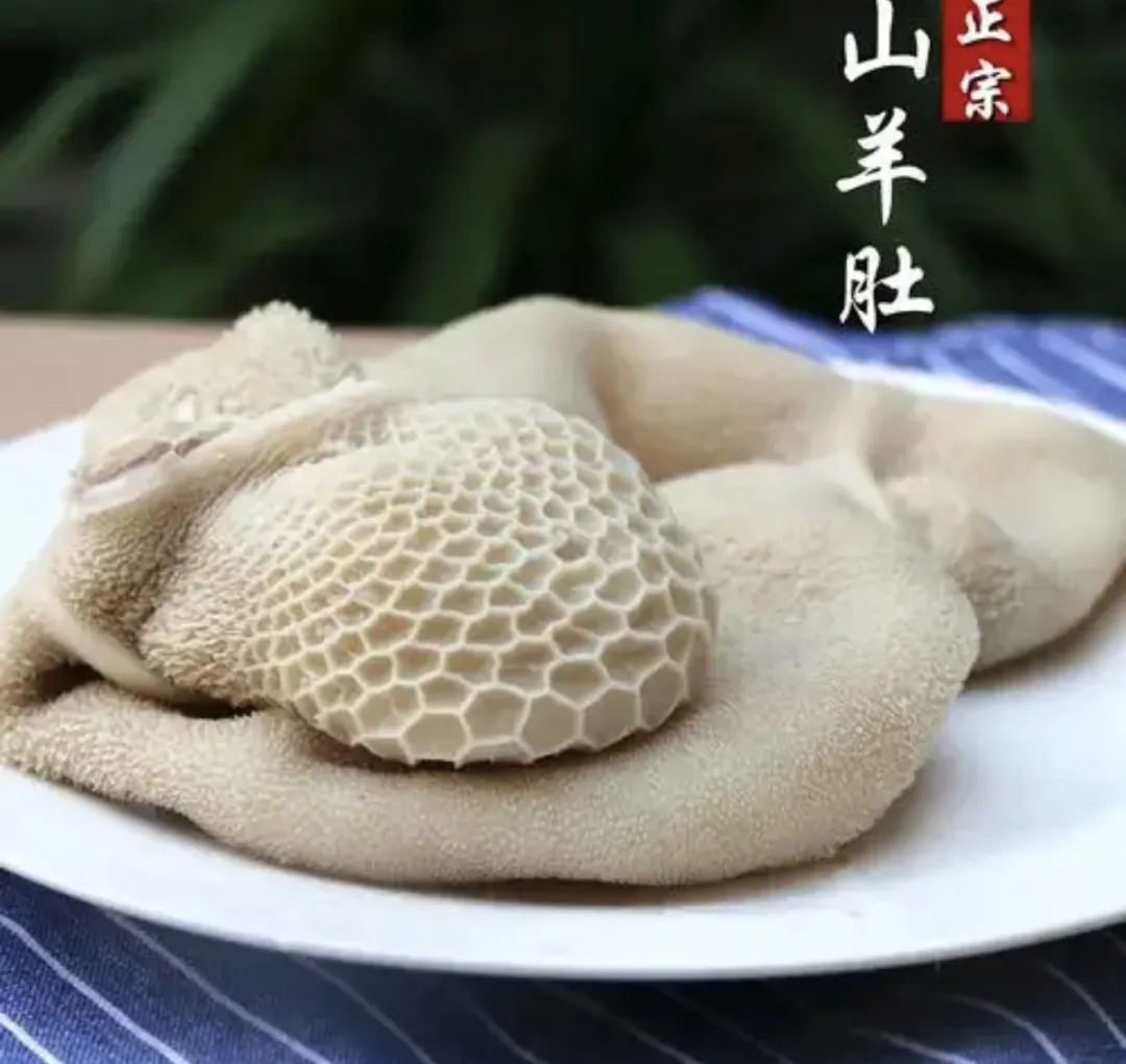 益气健脾、消瘦乏力的最佳食材当餐现做健脾羊肚汤