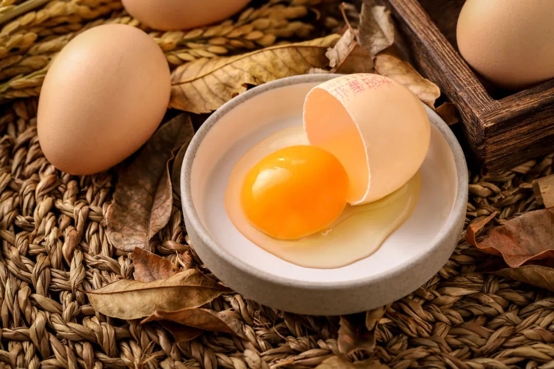 当餐精选食材!好蛋源于好食养灵芝鸡蛋