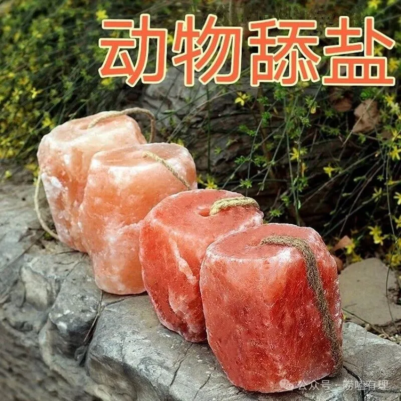 玫瑰盐恶性炒作工业盐变成食用盐撞上食品安全红线