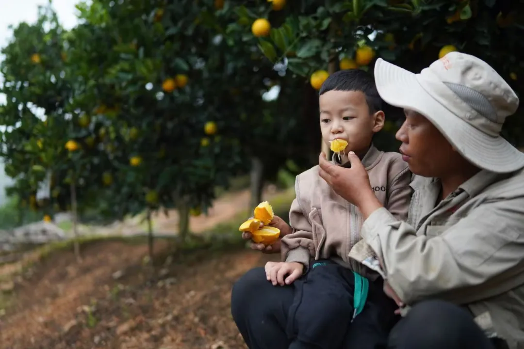 当餐优选生鲜超市深入哀牢山,翻山越岭只为“锁”住这口甜