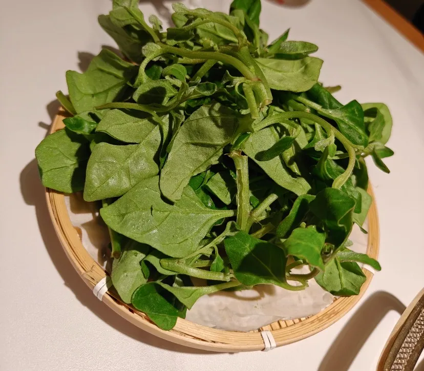 番杏在法国被尊为顶级食材，在中国只是田边野菜！