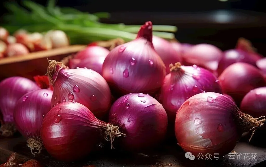 平凡食材中的降压瑰宝洋葱