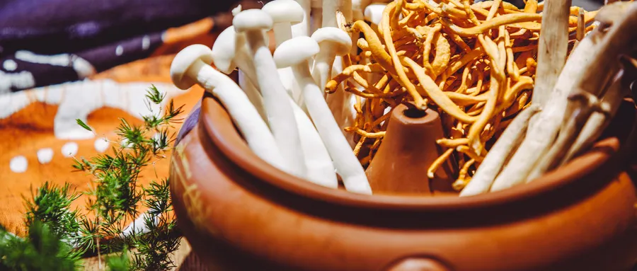 当餐地标食材风潮起，餐企如何打造舌尖上的“地域密码”？