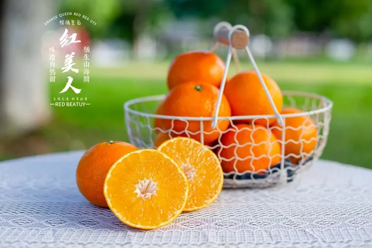 当餐优选浙江象山产地食材红美人果冻橙