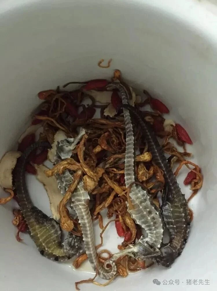 养生界的宝藏食材海马