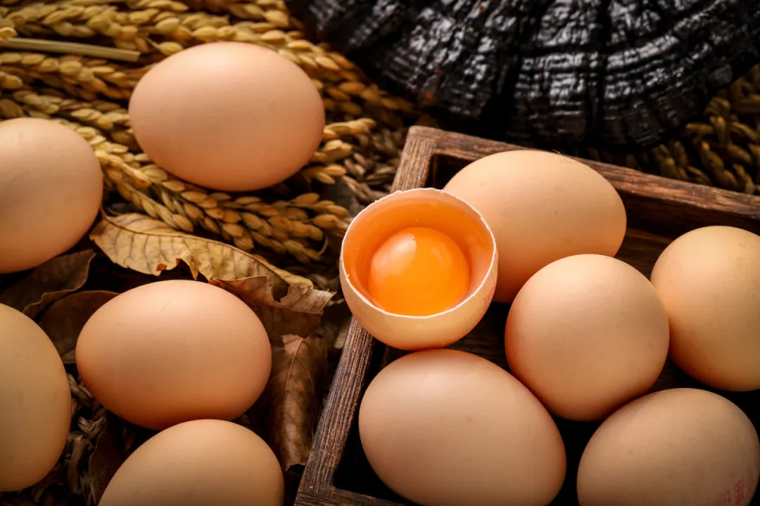 当餐精选食材！好蛋源于好食养灵芝鸡蛋