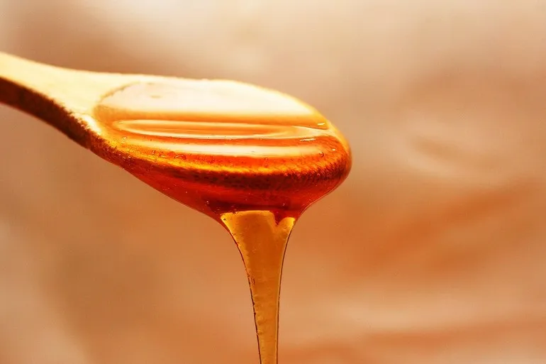 中医养肺 “黄金食材”推荐