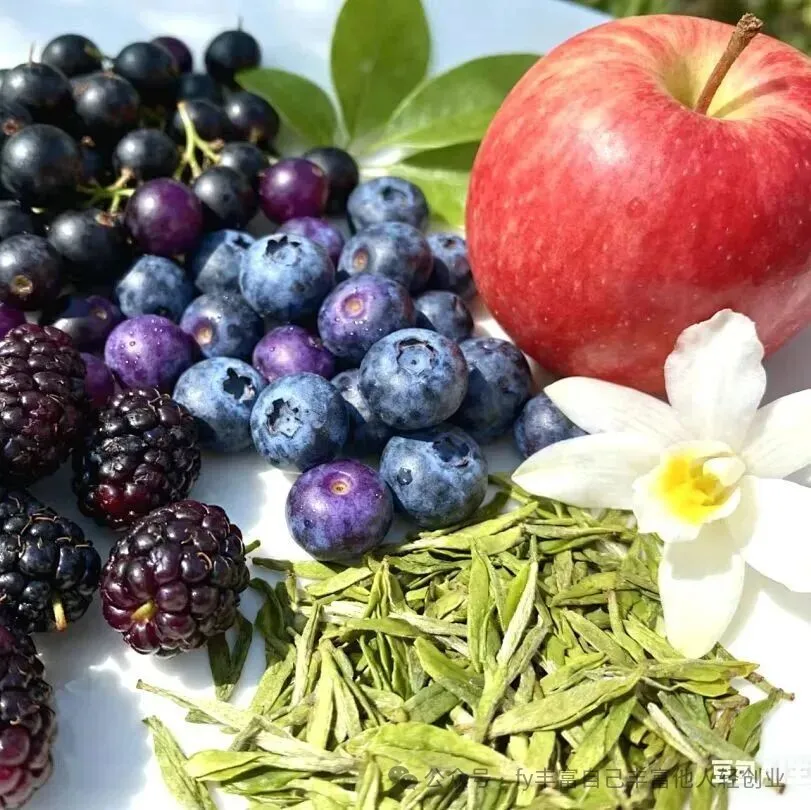 什么食物可以抗氧化