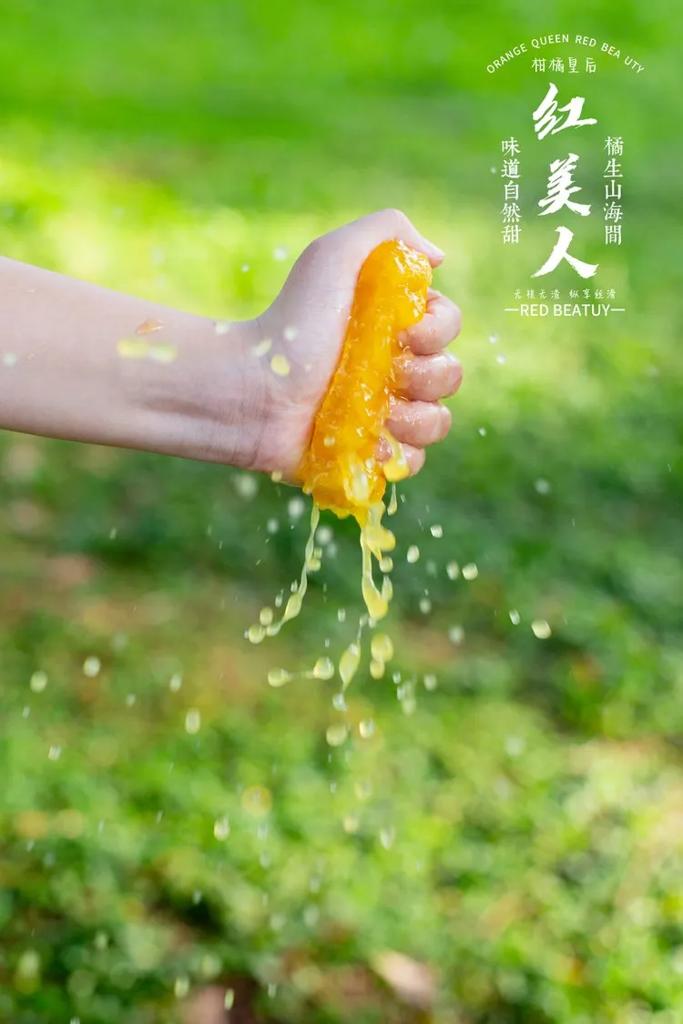 当餐优选浙江象山产地食材红美人果冻橙