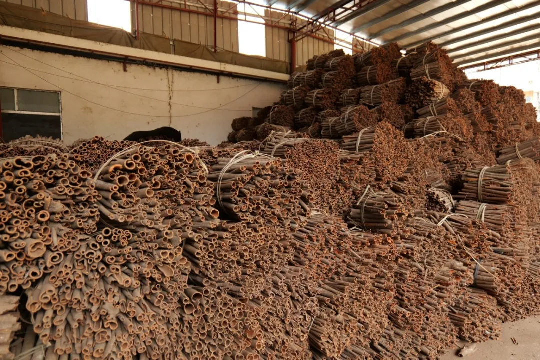 郁南肉桂点亮粤菜与全球美食的灵魂香气