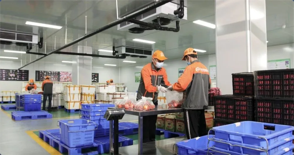 和智领投乐禾数亿元F轮融资，助力中国食材供应链发展