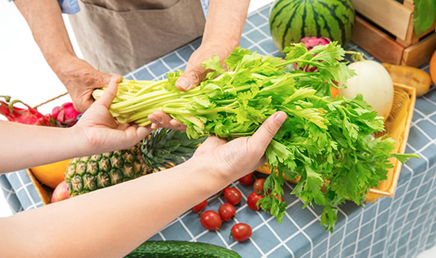 餐饮供应链团膳服务和团餐方案