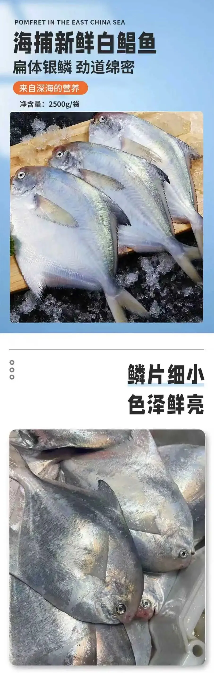 惊呼“超鲜的”!这箱野生海产,把大海的纯粹滋味端上餐桌