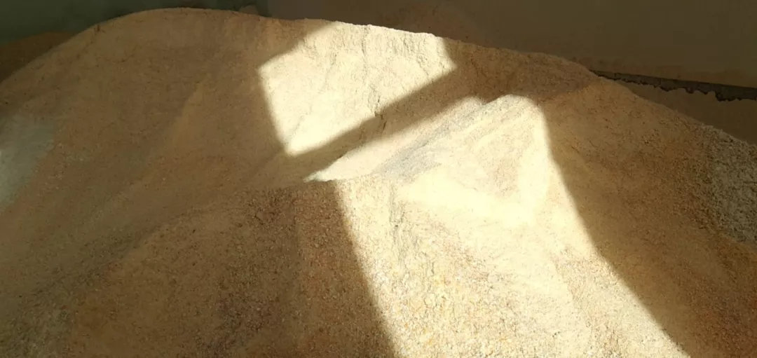 儿童的健康问题,当餐从食材开始守护