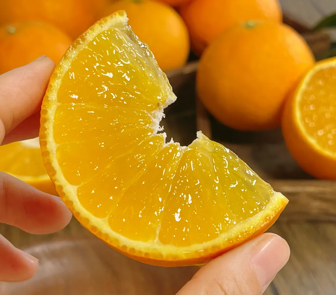 当餐优选浙江象山产地食材红美人果冻橙