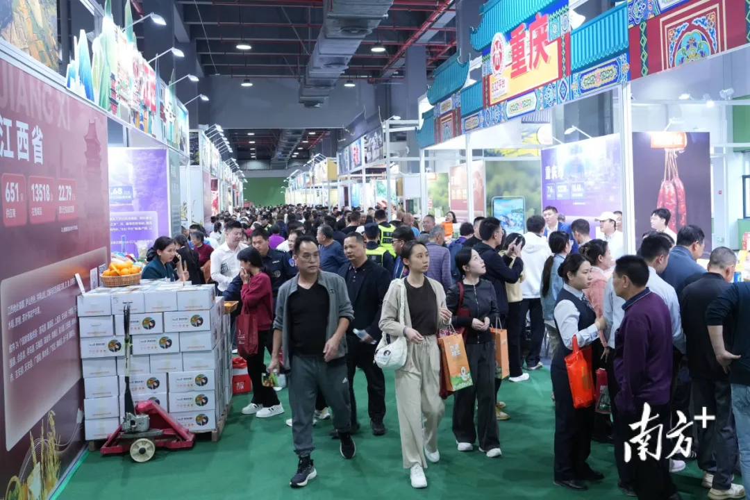 博罗泰美食品小镇，增量何来？