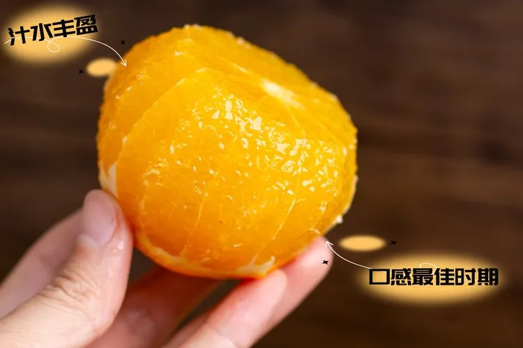 当餐优选浙江象山产地食材红美人果冻橙