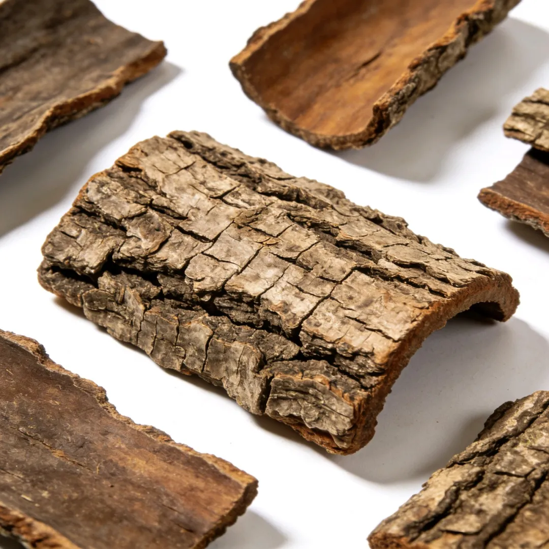 今日当餐食材推荐杜仲