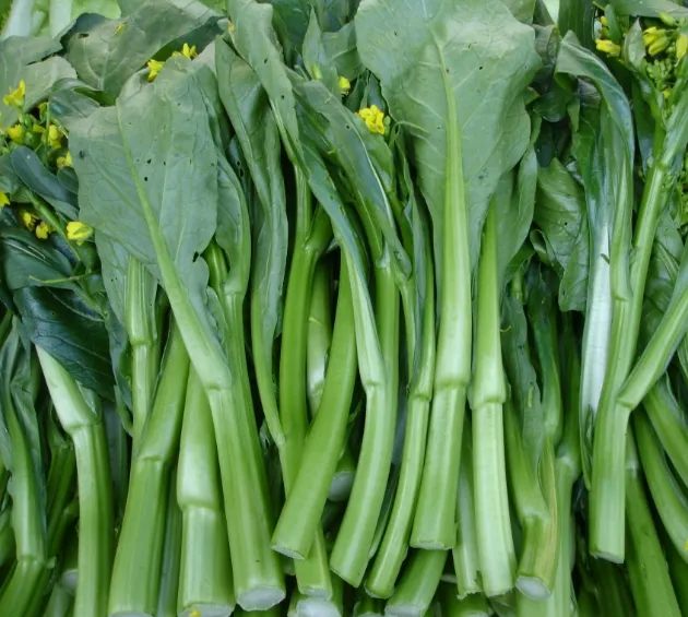 当餐食材也是中药之芸薹