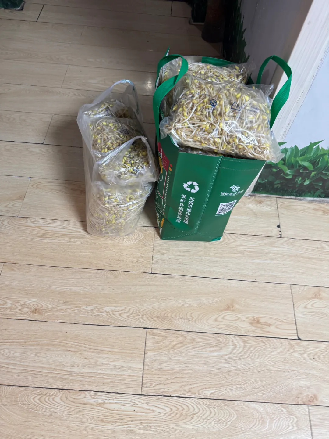 6万份有机豆芽的坚持以善为种，让爱生根