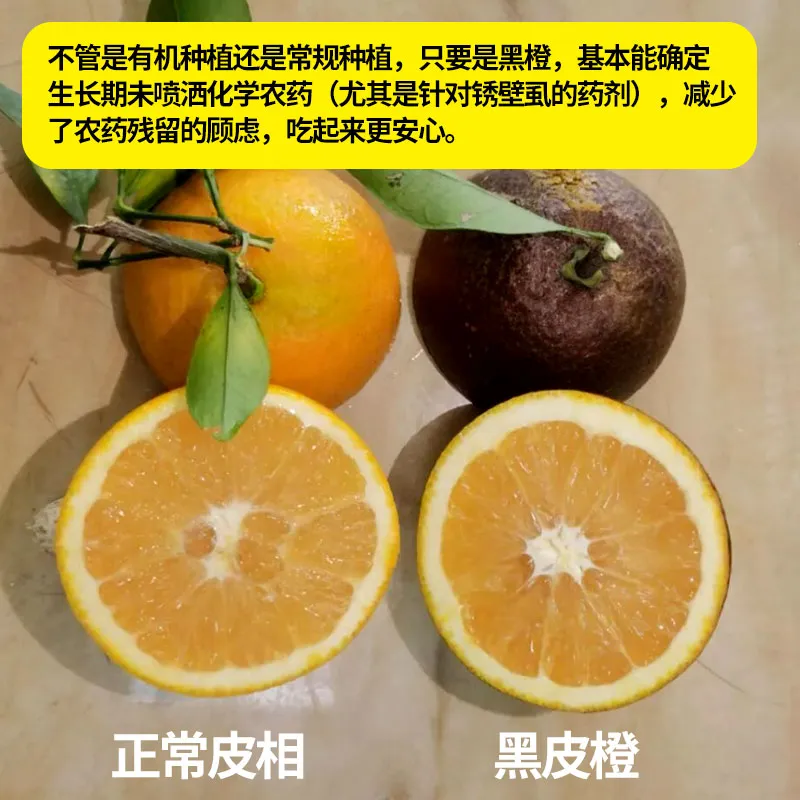 江西璞实有机黑皮橙，果肉清甜多汁基地直发有机认证0农残