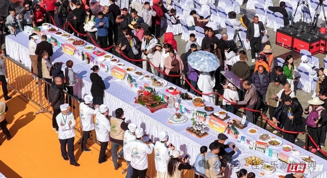 助推乡村食材品牌化发展 2025湖南乡村厨艺大“晒”在桂东举办