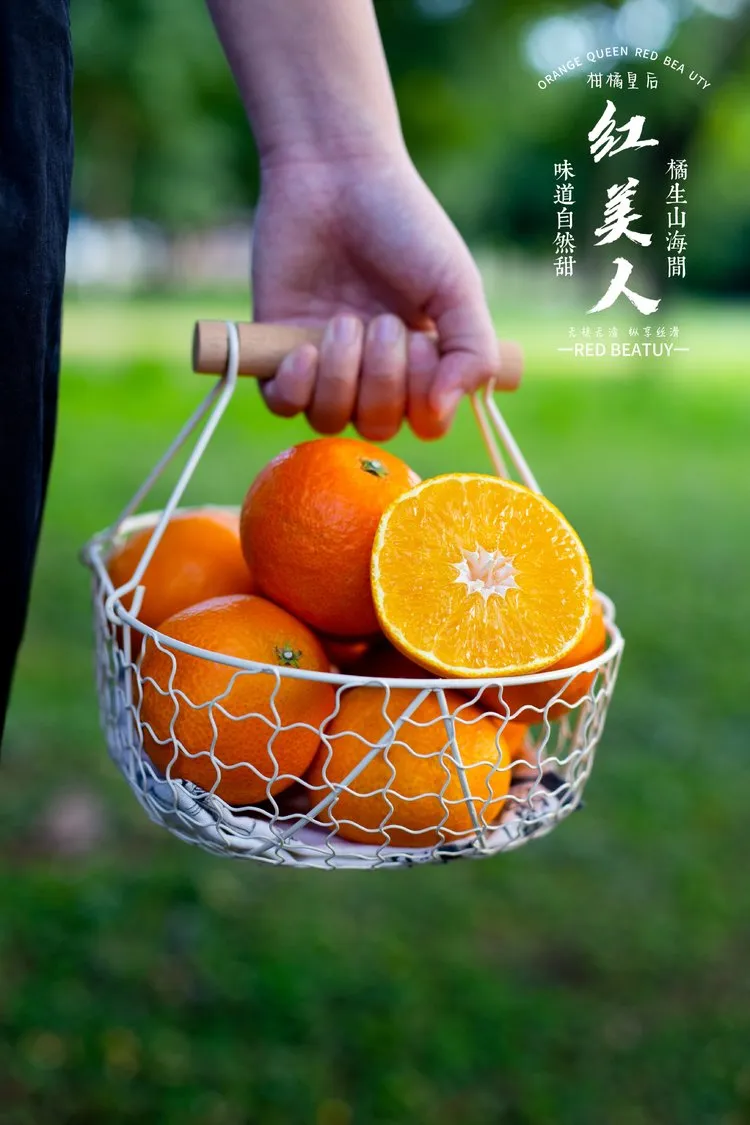 当餐优选浙江象山产地食材红美人果冻橙