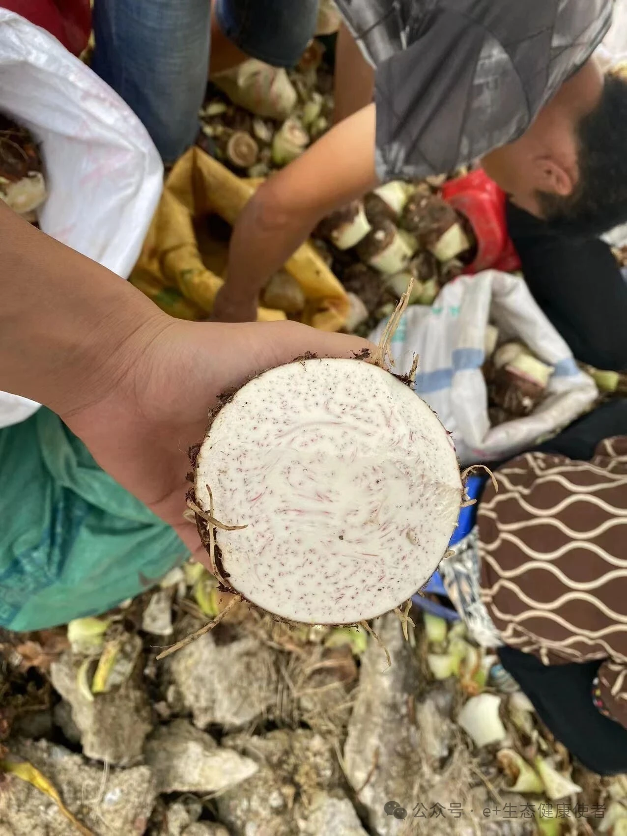 粉糯香甜的有机荔浦芋头