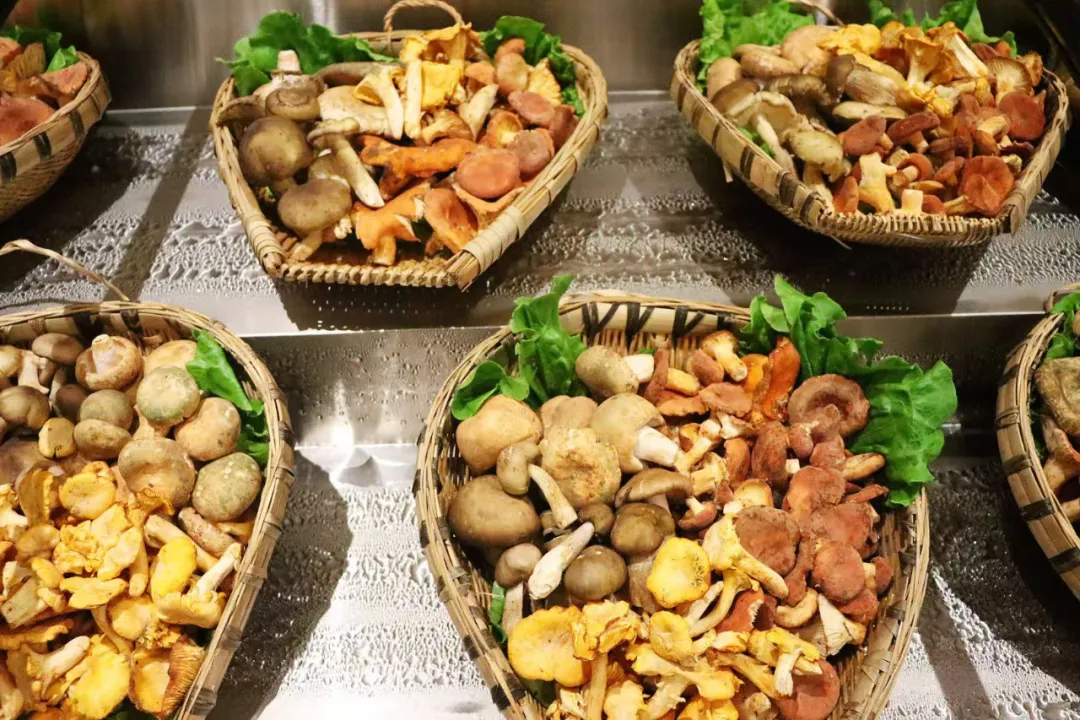 云南曲靖山珍鲜鸡火锅,原汁原味加配菜好吃极了,周末小聚享实惠!