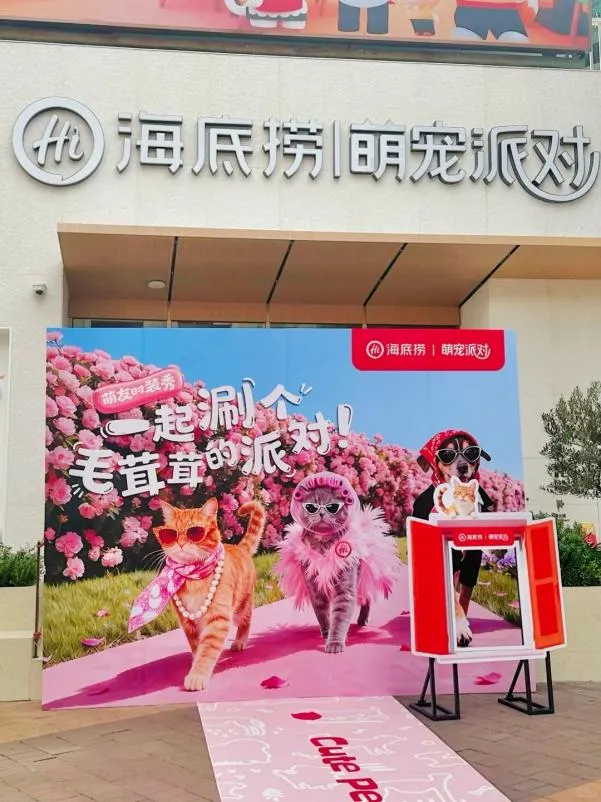 餐饮信息网2025年12月20日深圳餐饮招聘求职信息